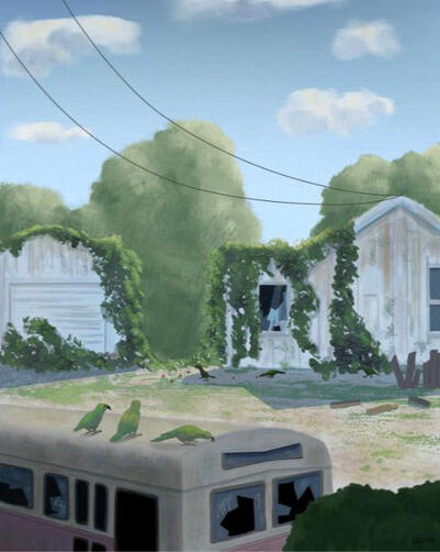 Three keas sit on a broken down bus looking onward at a house overtaken with ivy. There are other kea in the background foraging on the floor.