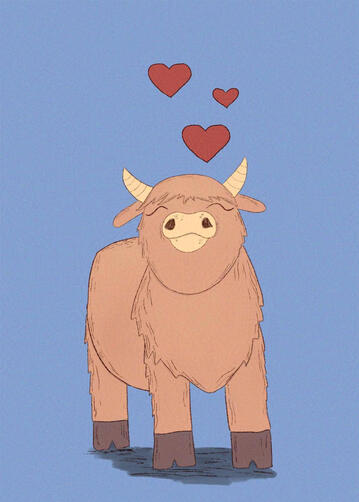 A cute highland calf looks up at three little hearts.