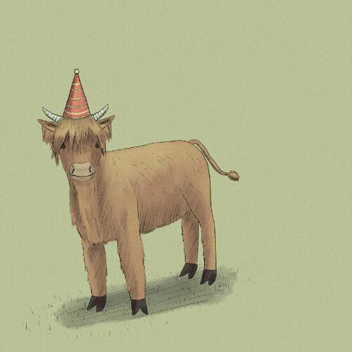 Cute highland calf with a party hat on its head