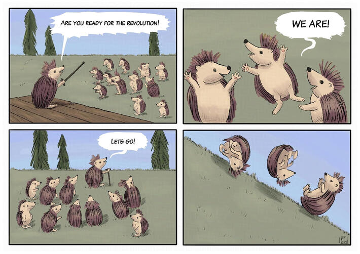 A funny pun about revolution involving hedgehogs rolling down a hill