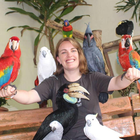 Phillipa Suckling Phillipa Suckling with numerous parrots and a hornbill bird sitting on her.